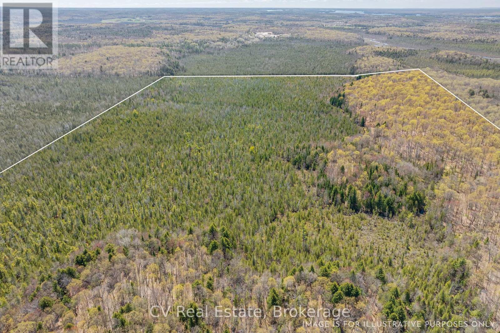 Lot 21 & Lot 22 Con 3, Muskoka Lakes, Ontario  P0B 1M0 - Photo 34 - X13128622