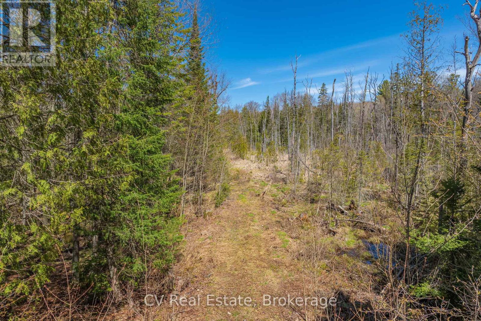 Lot 21 & Lot 22 Con 3, Muskoka Lakes, Ontario  P0B 1M0 - Photo 39 - X13128622