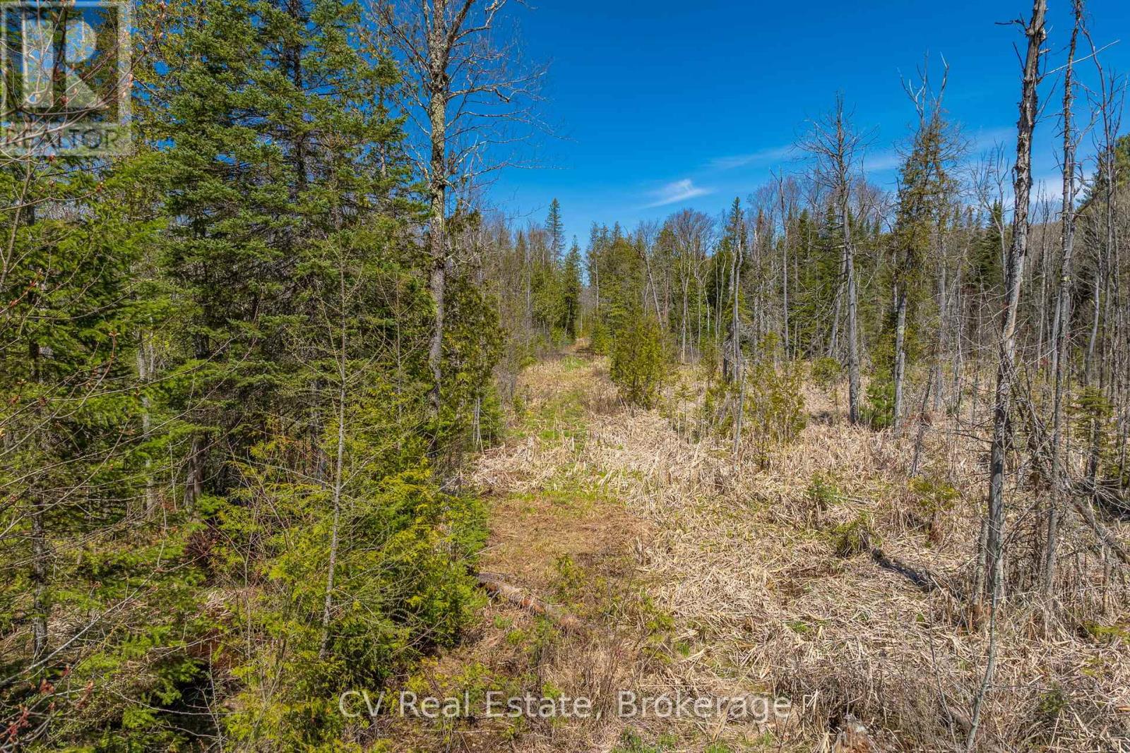 Lot 21 & Lot 22 Con 3, Muskoka Lakes, Ontario  P0B 1M0 - Photo 40 - X13128622