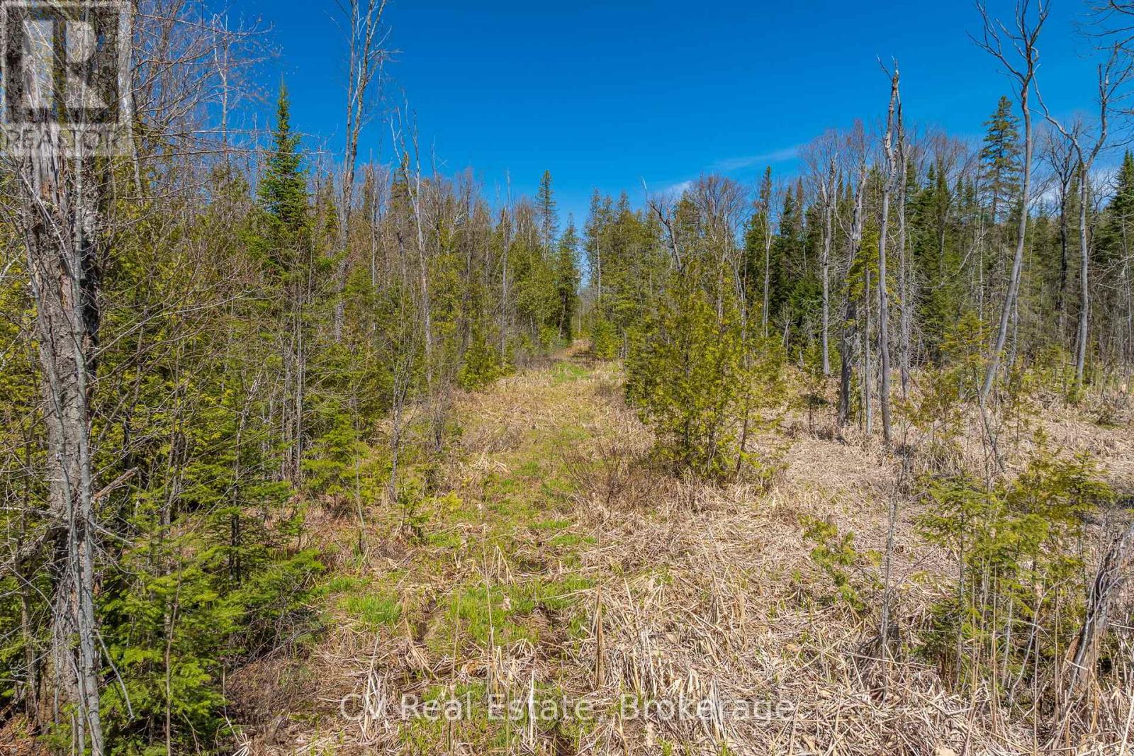 Lot 21 & Lot 22 Con 3, Muskoka Lakes, Ontario  P0B 1M0 - Photo 41 - X13128622