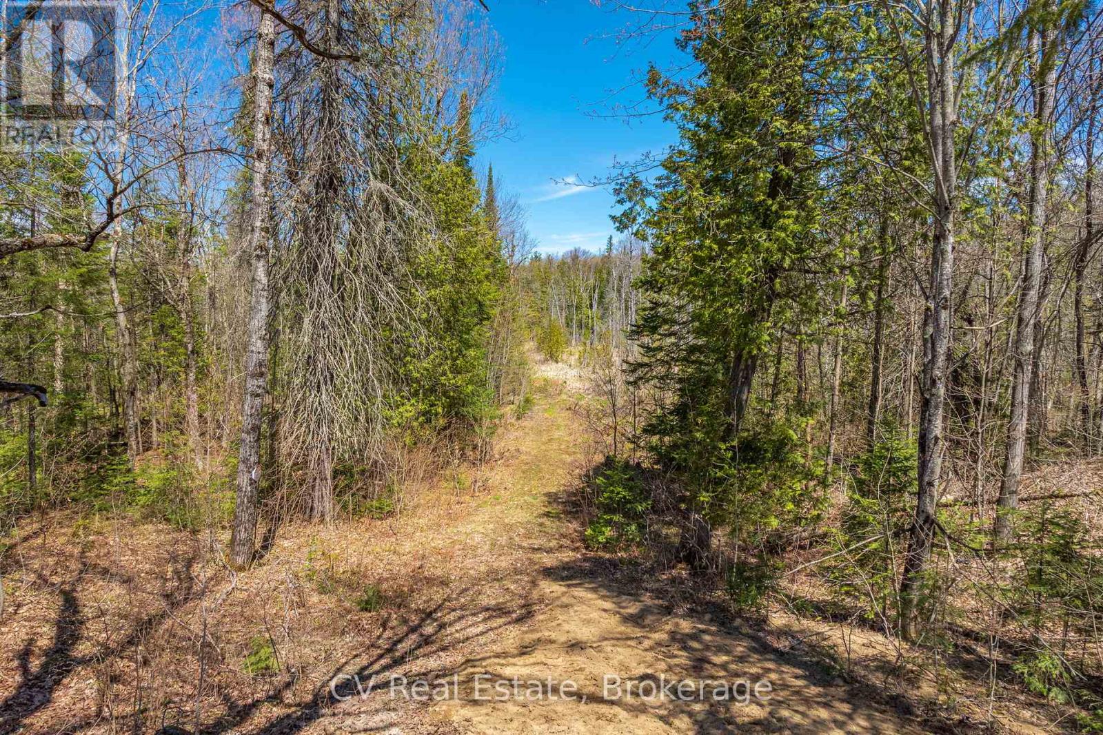 Lot 21 & Lot 22 Con 3, Muskoka Lakes, Ontario  P0B 1M0 - Photo 5 - X13128622