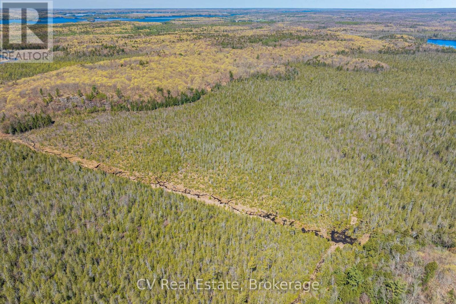 Lot 21 & Lot 22 Con 3, Muskoka Lakes, Ontario  P0B 1M0 - Photo 8 - X13128622