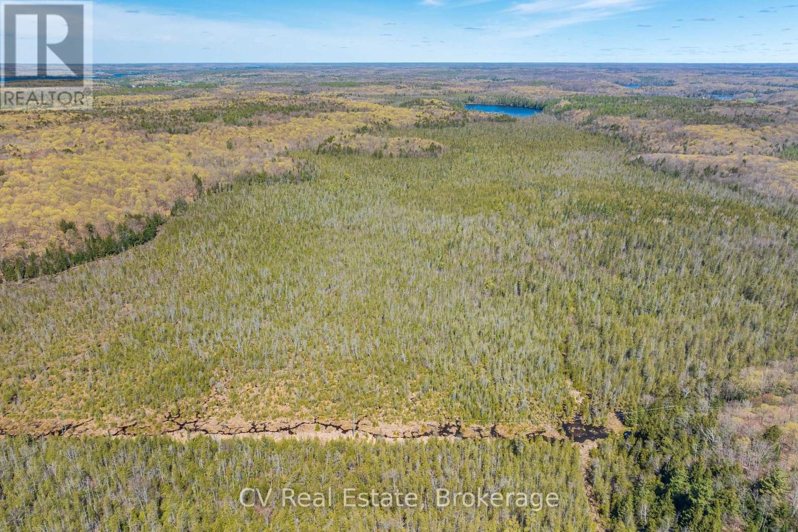 Lot 21 & Lot 22 Con 3, Muskoka Lakes, Ontario  P0B 1M0 - Photo 9 - X13128622