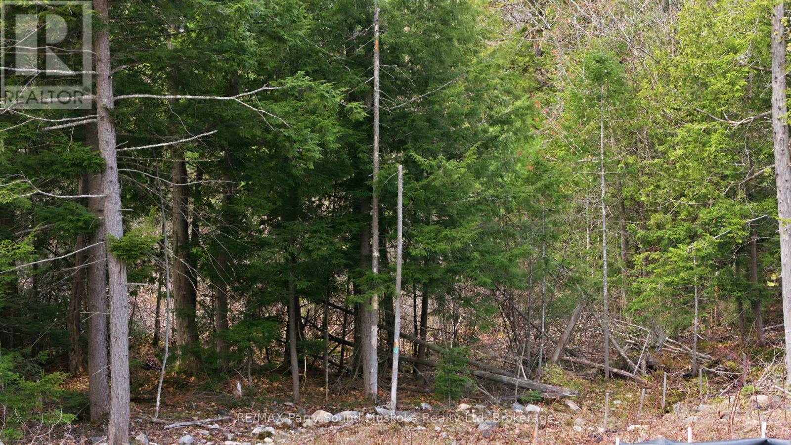 2 Zhaawashkwaa Miikan Road, Seguin, Ontario  P2A 2W8 - Photo 10 - X13128676