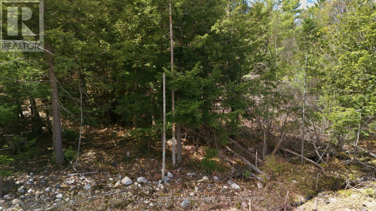 2 Zhaawashkwaa Miikan Road, Seguin, Ontario  P2A 2W8 - Photo 12 - X13128676