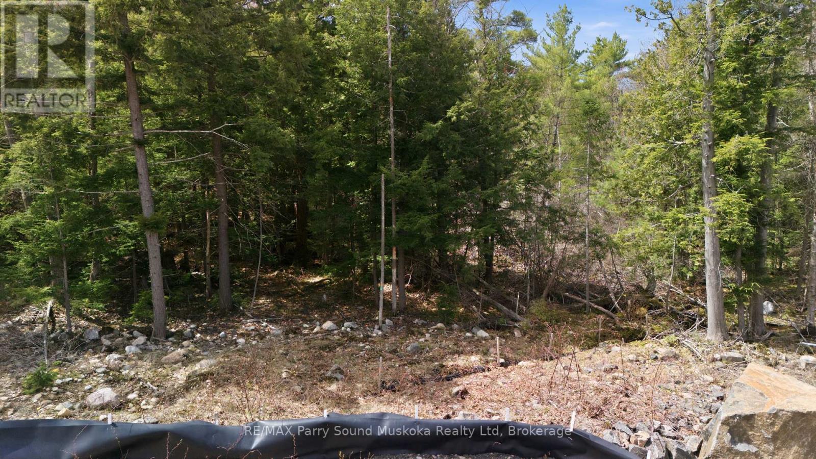 2 Zhaawashkwaa Miikan Road, Seguin, Ontario  P2A 2W8 - Photo 13 - X13128676