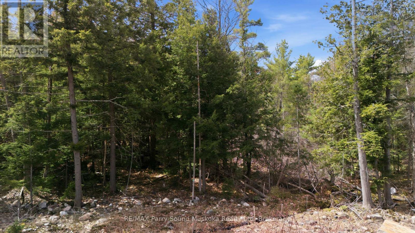 2 Zhaawashkwaa Miikan Road, Seguin, Ontario  P2A 2W8 - Photo 14 - X13128676