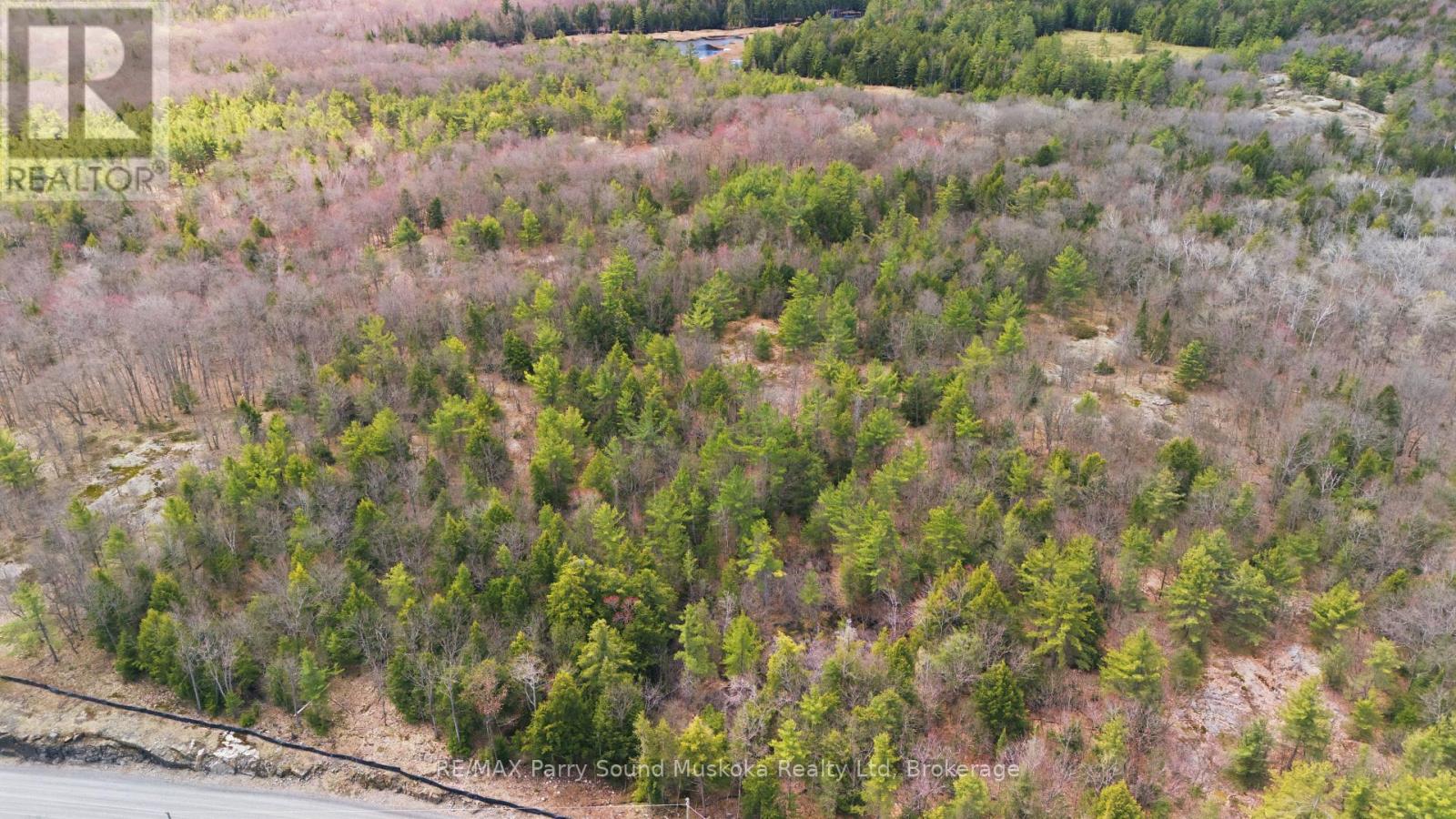 2 Zhaawashkwaa Miikan Road, Seguin, Ontario  P2A 2W8 - Photo 18 - X13128676