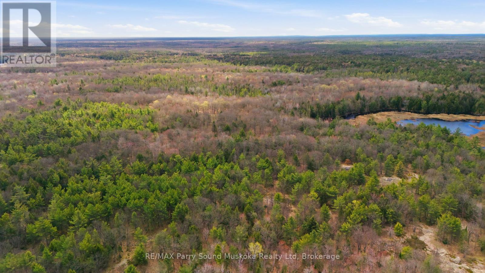 2 Zhaawashkwaa Miikan Road, Seguin, Ontario  P2A 2W8 - Photo 4 - X13128676