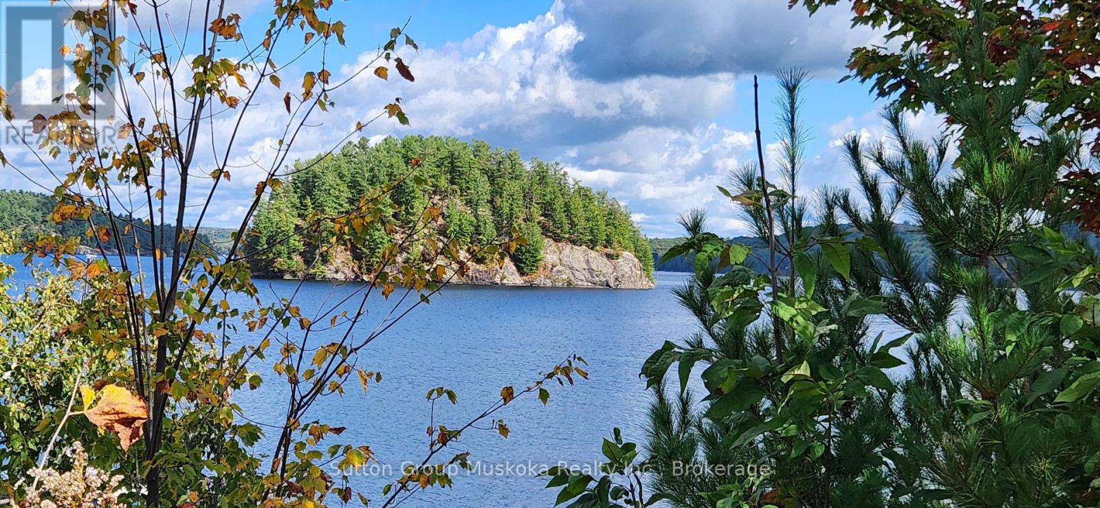 70 Village Hill Road, Huntsville, Ontario  P0B 1L0 - Photo 6 - X13131572