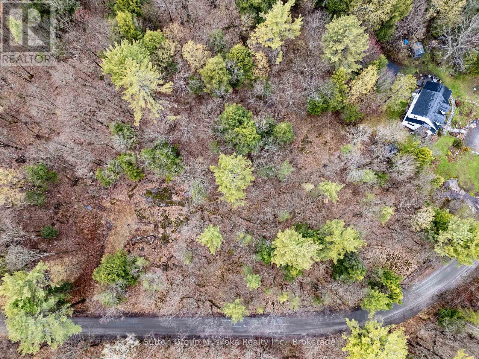 70 Village Hill Road, Huntsville, Ontario  P0B 1L0 - Photo 7 - X13131572