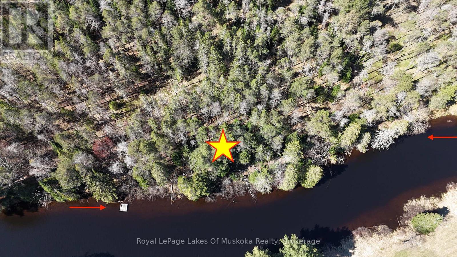 25 Rowanwood Lane, Huntsville, Ontario  P0B 1M0 - Photo 7 - X13134804