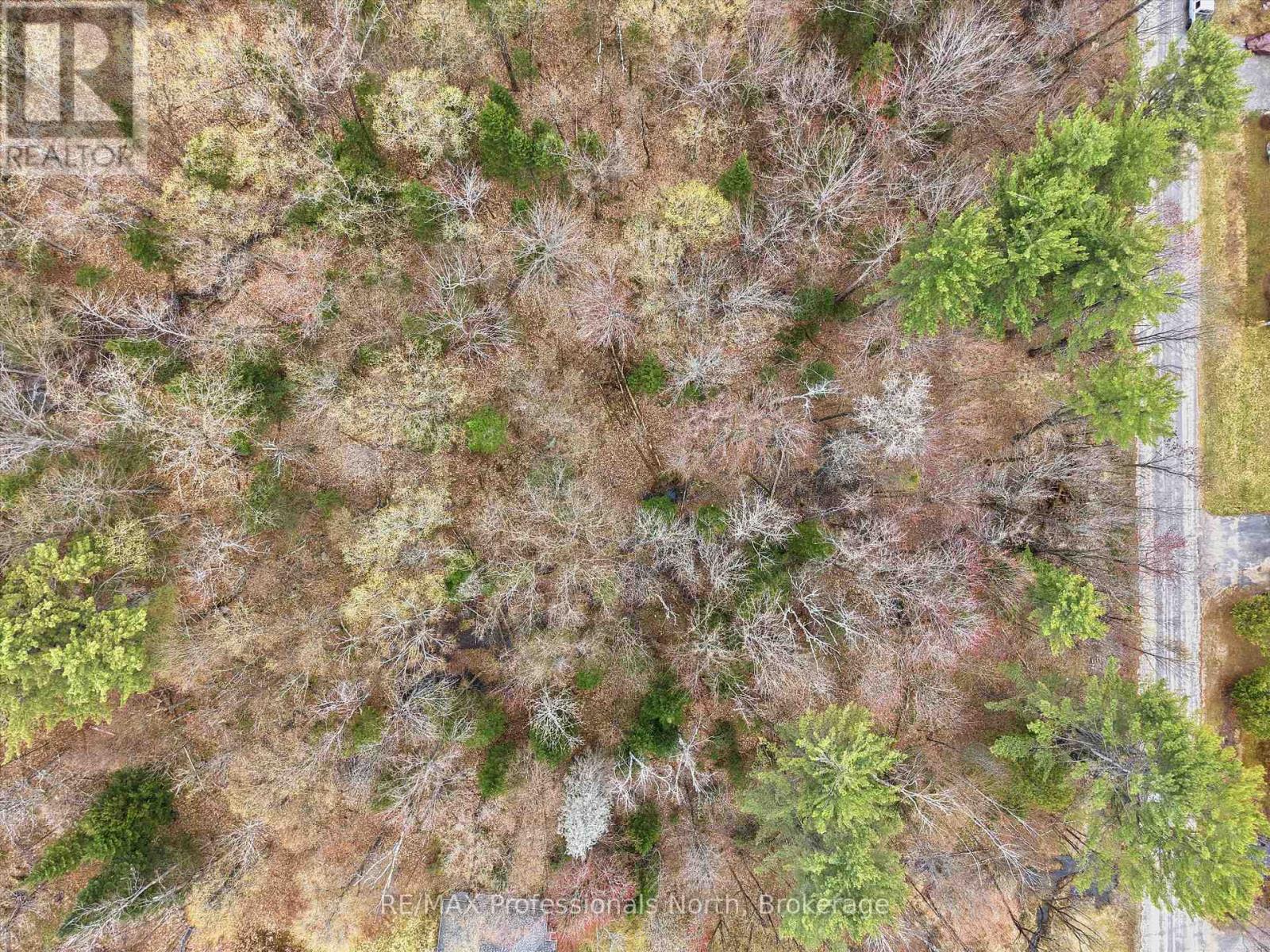 0 East Walker Lake Drive, Lake Of Bays, Ontario  P1H 2J6 - Photo 3 - X13135032