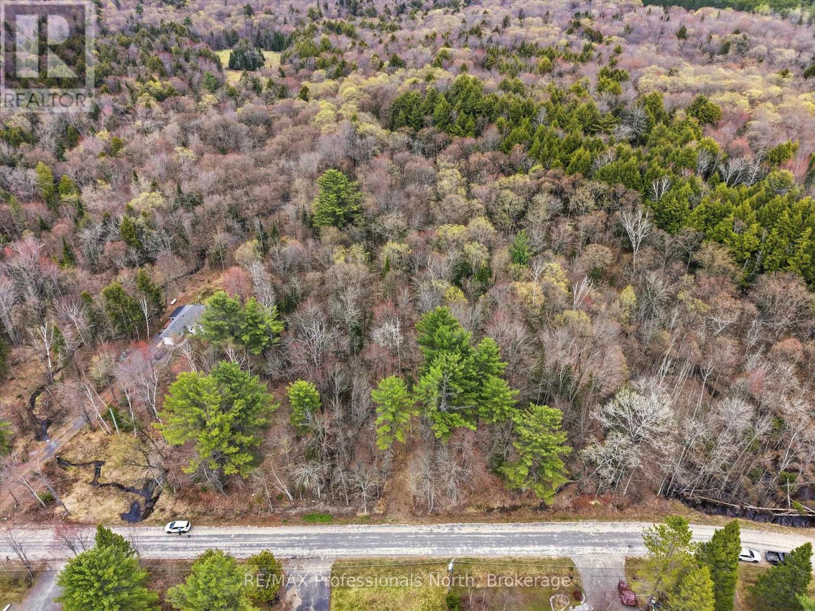 0 East Walker Lake Drive, Lake Of Bays, Ontario  P1H 2J6 - Photo 4 - X13135032