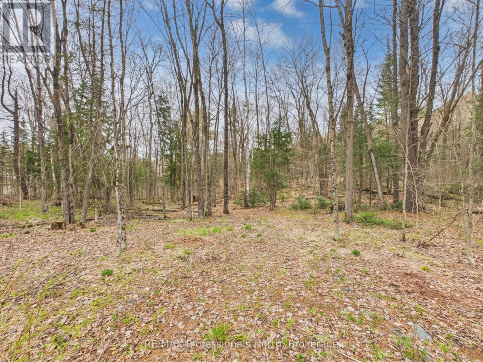 0 East Walker Lake Drive, Lake Of Bays, Ontario  P1H 2J6 - Photo 5 - X13135032