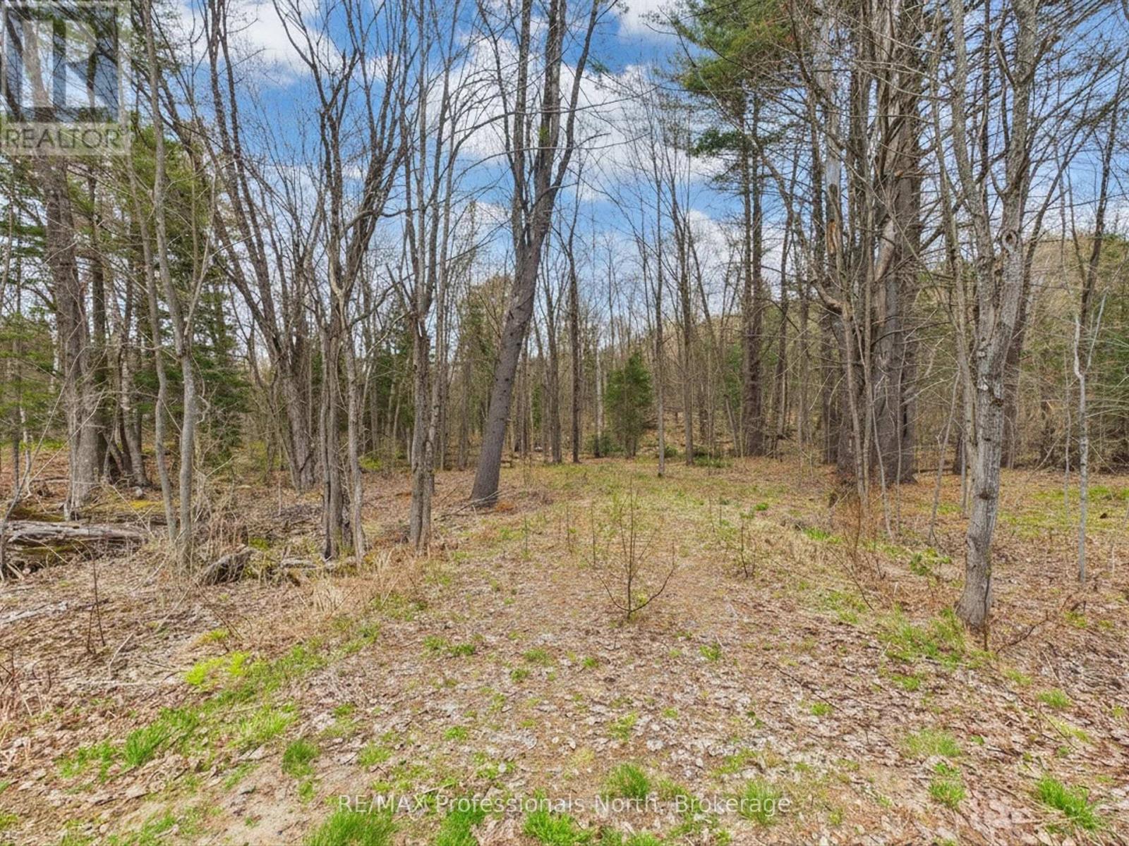 0 East Walker Lake Drive, Lake Of Bays, Ontario  P1H 2J6 - Photo 6 - X13135032