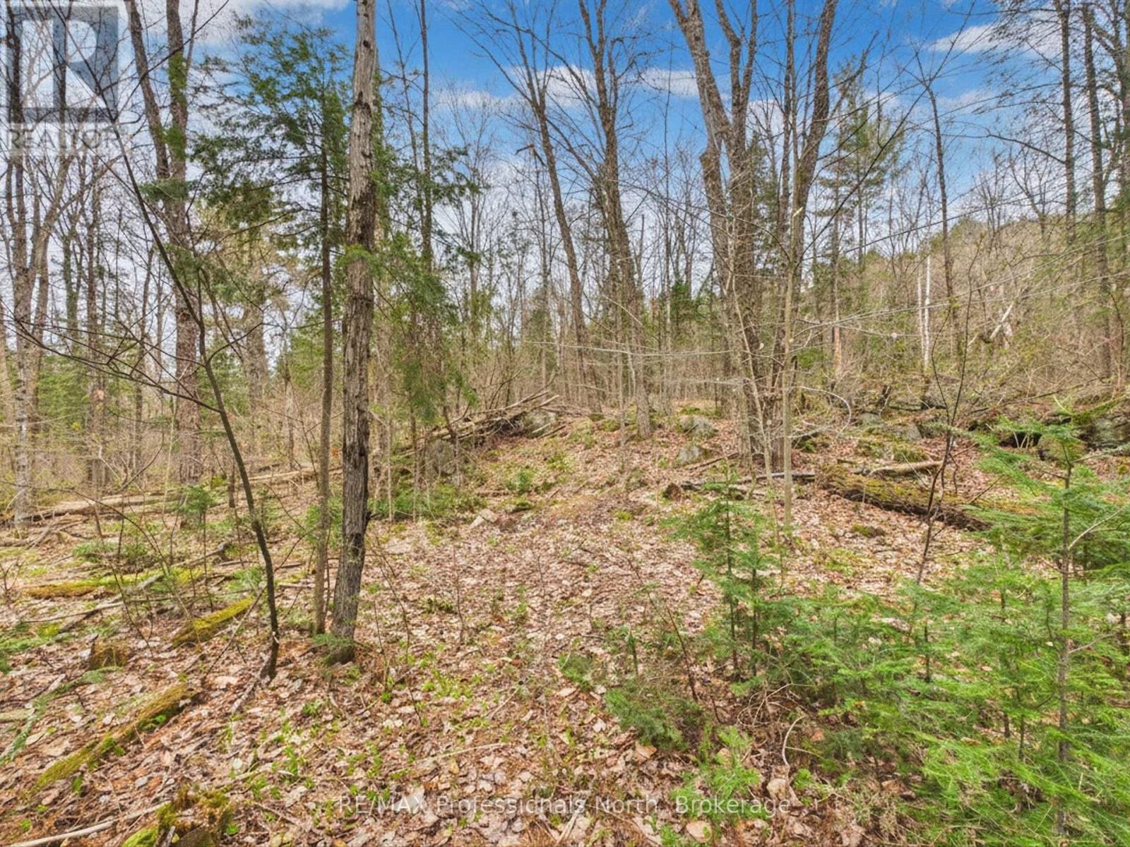 0 East Walker Lake Drive, Lake Of Bays, Ontario  P1H 2J6 - Photo 7 - X13135032