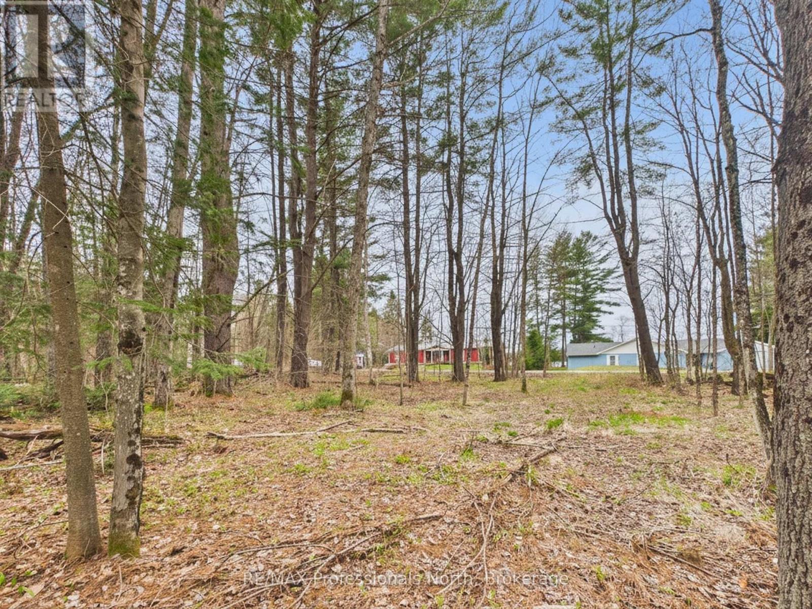 0 East Walker Lake Drive, Lake Of Bays, Ontario  P1H 2J6 - Photo 8 - X13135032