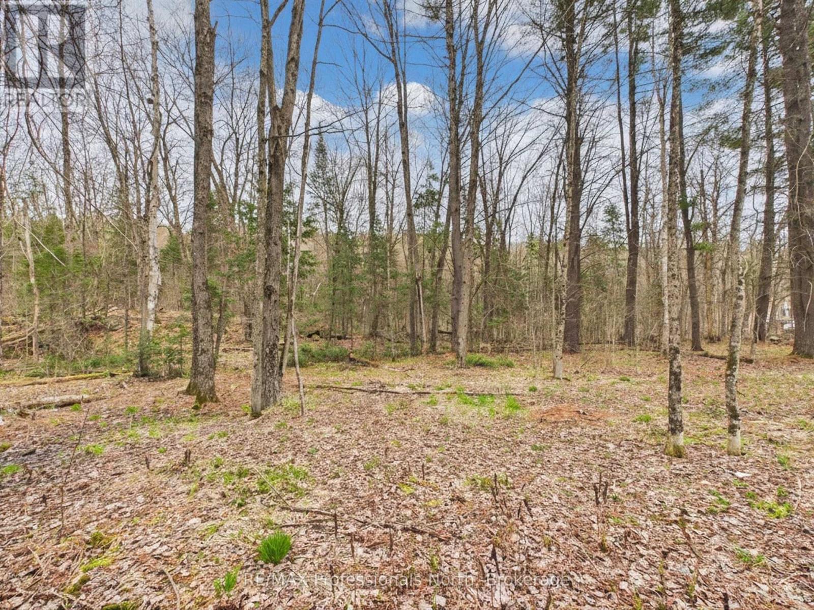 0 East Walker Lake Drive, Lake Of Bays, Ontario  P1H 2J6 - Photo 9 - X13135032