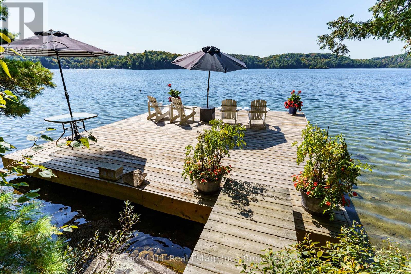 29sl4 Clifton Island, Muskoka Lakes, Ontario P0G 1G0 - Photo 8 - X13137592