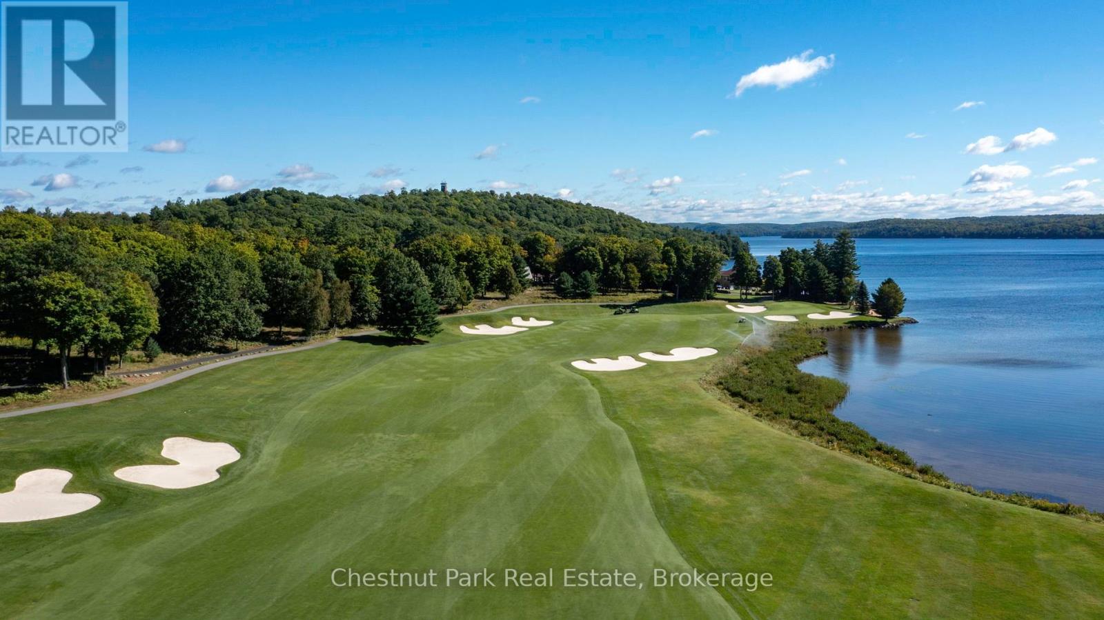 30 Bigwin Island, Lake Of Bays, Ontario  P0B 1A0 - Photo 49 - X13137668