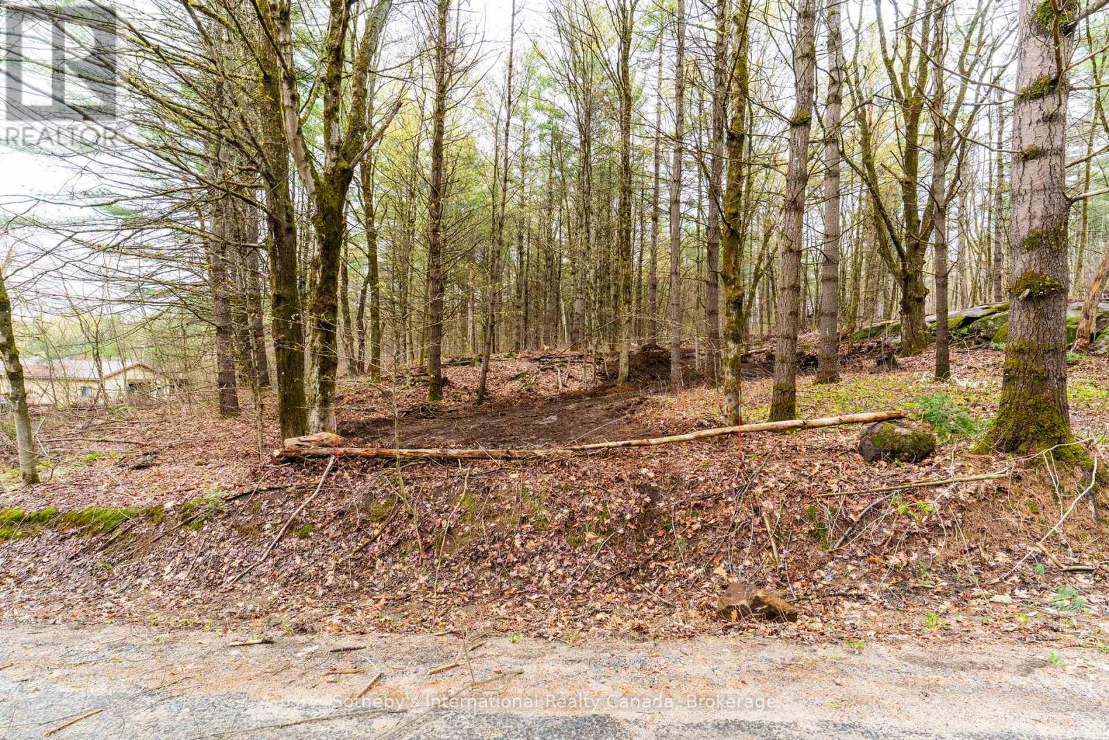 0 White's Road, Muskoka Lakes, Ontario  P0B 1J0 - Photo 17 - X13138894