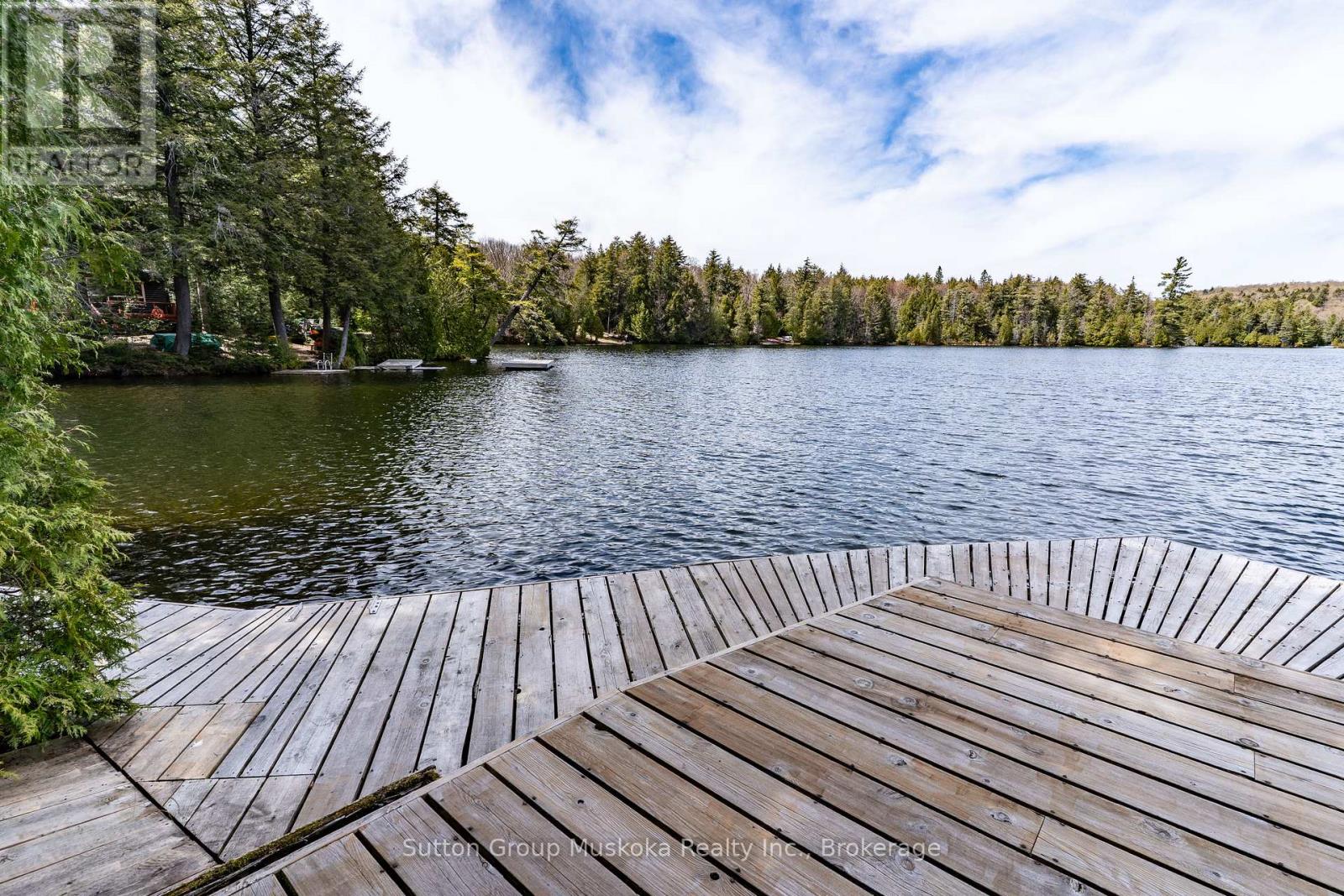1131 - A West Camp Lake Road, Lake Of Bays, Ontario P0A 1H0 - Photo 11 - X13144058