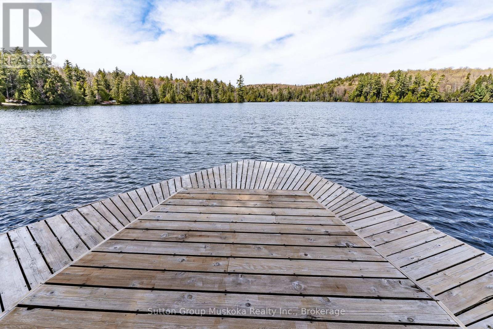 1131 - A West Camp Lake Road, Lake Of Bays, Ontario P0A 1H0 - Photo 15 - X13144058