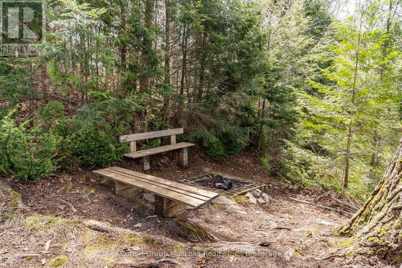 1131 - A West Camp Lake Road, Lake Of Bays, Ontario P0A 1H0 - Photo 8 - X13144058