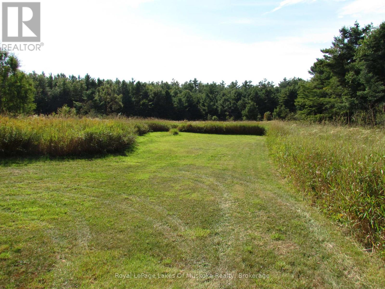 1016 Laycox Road, Gravenhurst, Ontario  P1P 0G8 - Photo 6 - X13145726