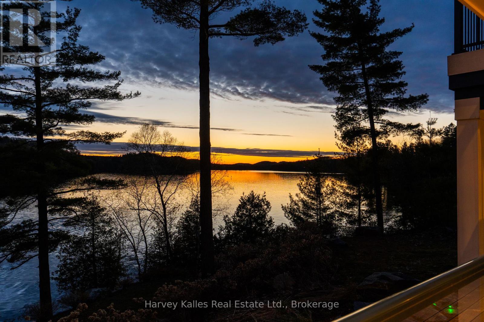 800 Big Island, Huntsville, Ontario P1H 2J2 - Photo 3 - X13147602