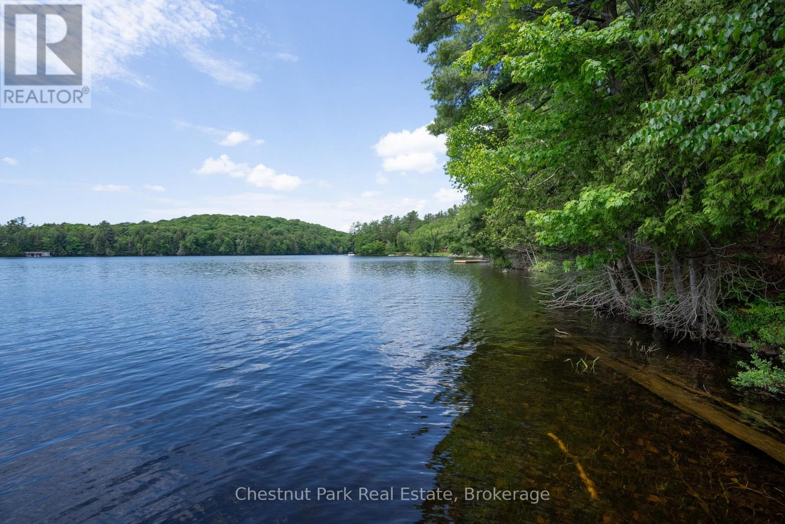 652 North Waseosa Lake Road, Huntsville, Ontario  P1H 2J4 - Photo 42 - X13148096