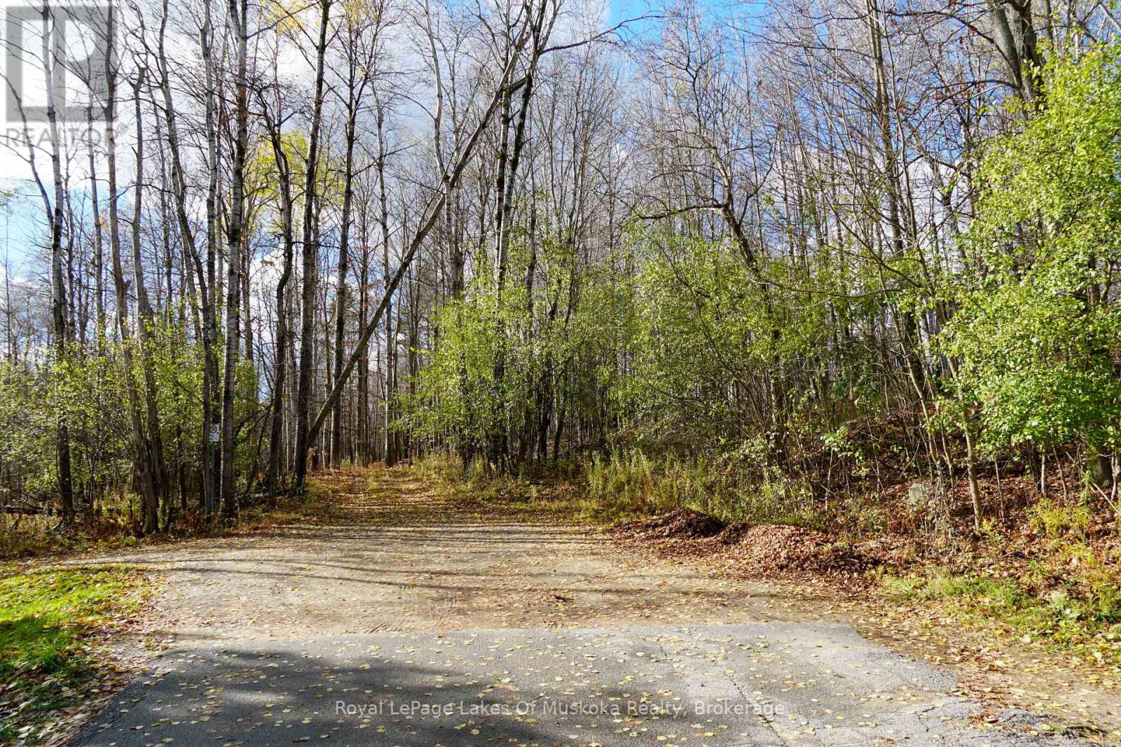 8 Rice Lane, Huntsville, Ontario  P1H 1V4 - Photo 7 - X13154130