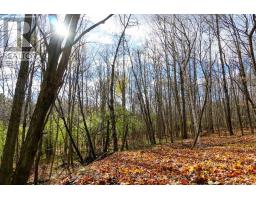 8 RICE LANE, Huntsville, Ontario