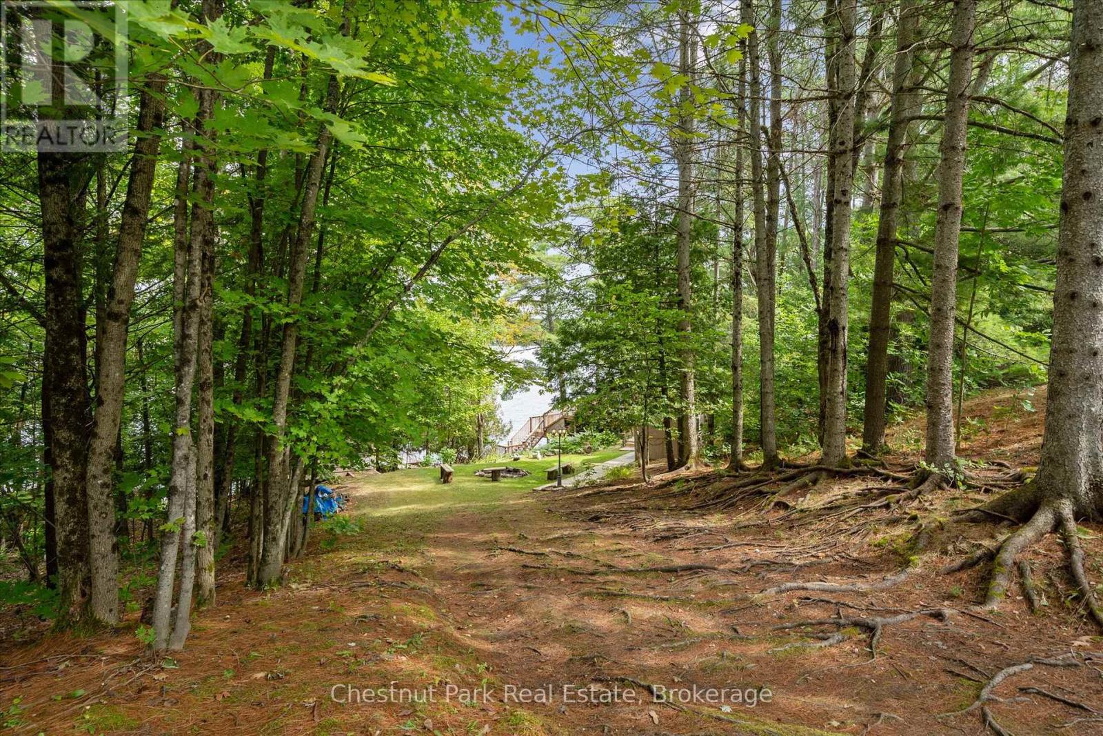 1492 #3 North Shore Road, Muskoka Lakes, Ontario  P0B 1M0 - Photo 35 - X13154156