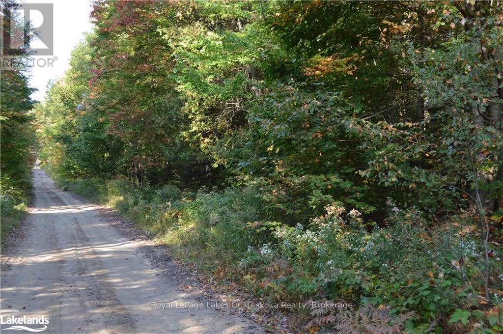 Lot 20 Concession 5 Road, Huntsville, Ontario  P1H 2J3 - Photo 1 - X13154838