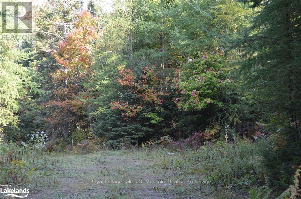 Lot 20 Concession 5 Road, Huntsville, Ontario  P1H 2J3 - Photo 3 - X13154838