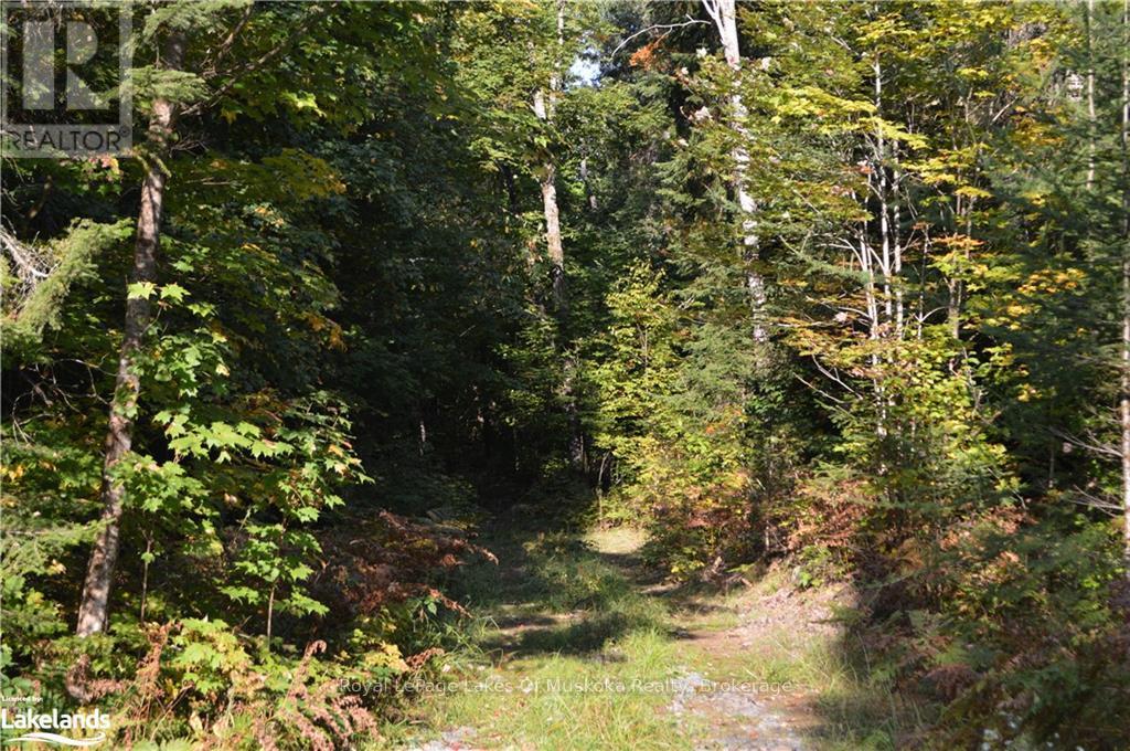 Lot 20 Concession 5 Road, Huntsville, Ontario  P1H 2J3 - Photo 4 - X13154838