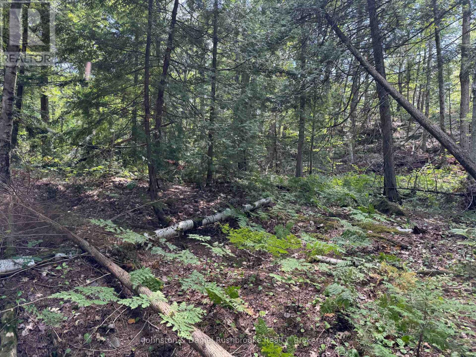 2 Island 24lm (Denison), Gravenhurst, Ontario  P1P 1R2 - Photo 10 - X13155808