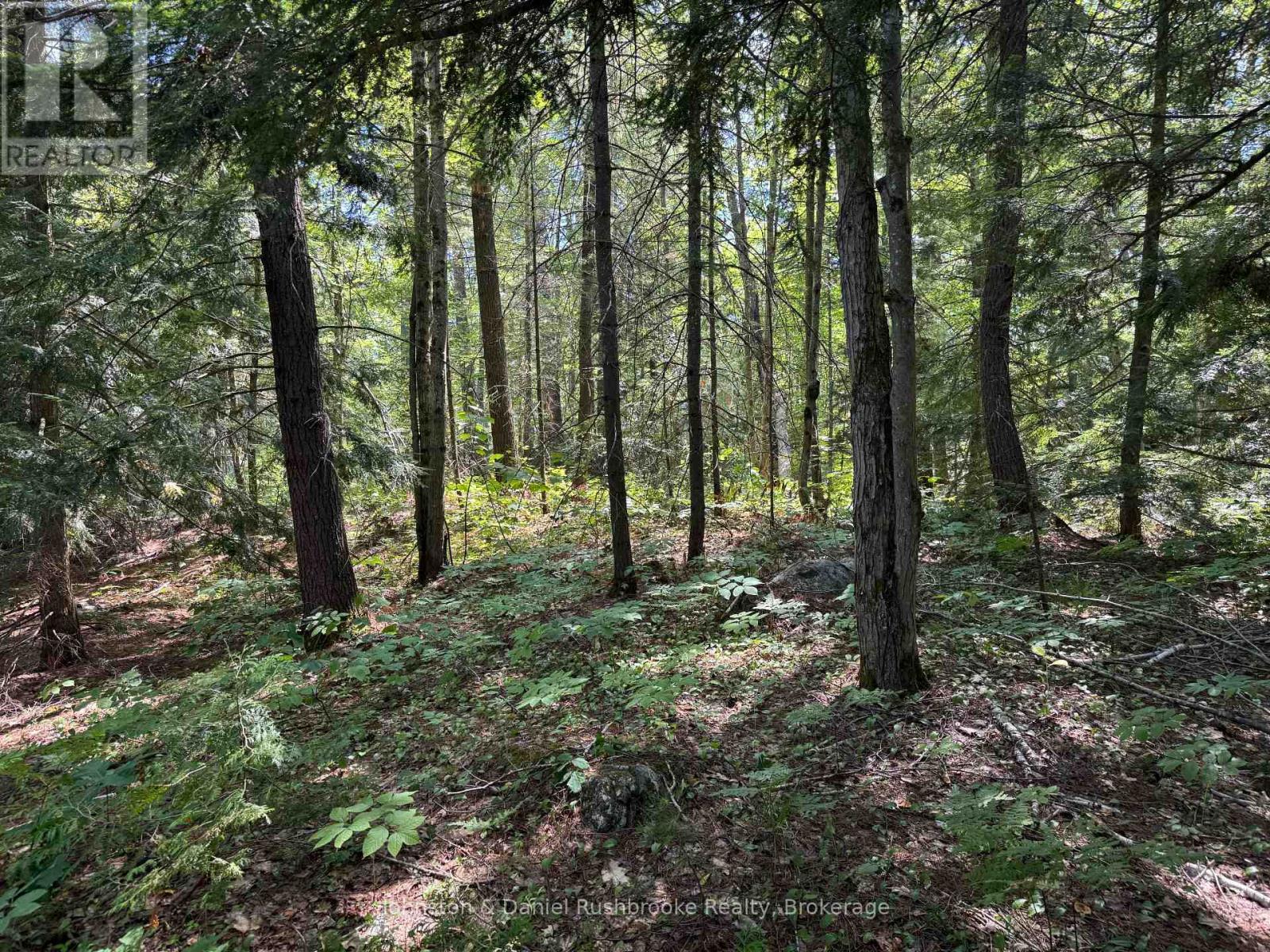 2 Island 24lm (Denison), Gravenhurst, Ontario  P1P 1R2 - Photo 4 - X13155808
