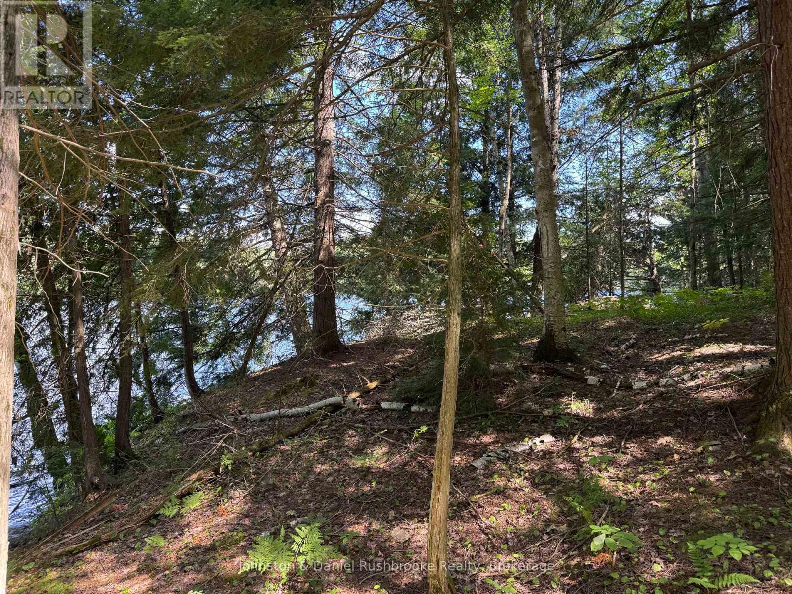 2 Island 24lm (Denison), Gravenhurst, Ontario  P1P 1R2 - Photo 8 - X13155808