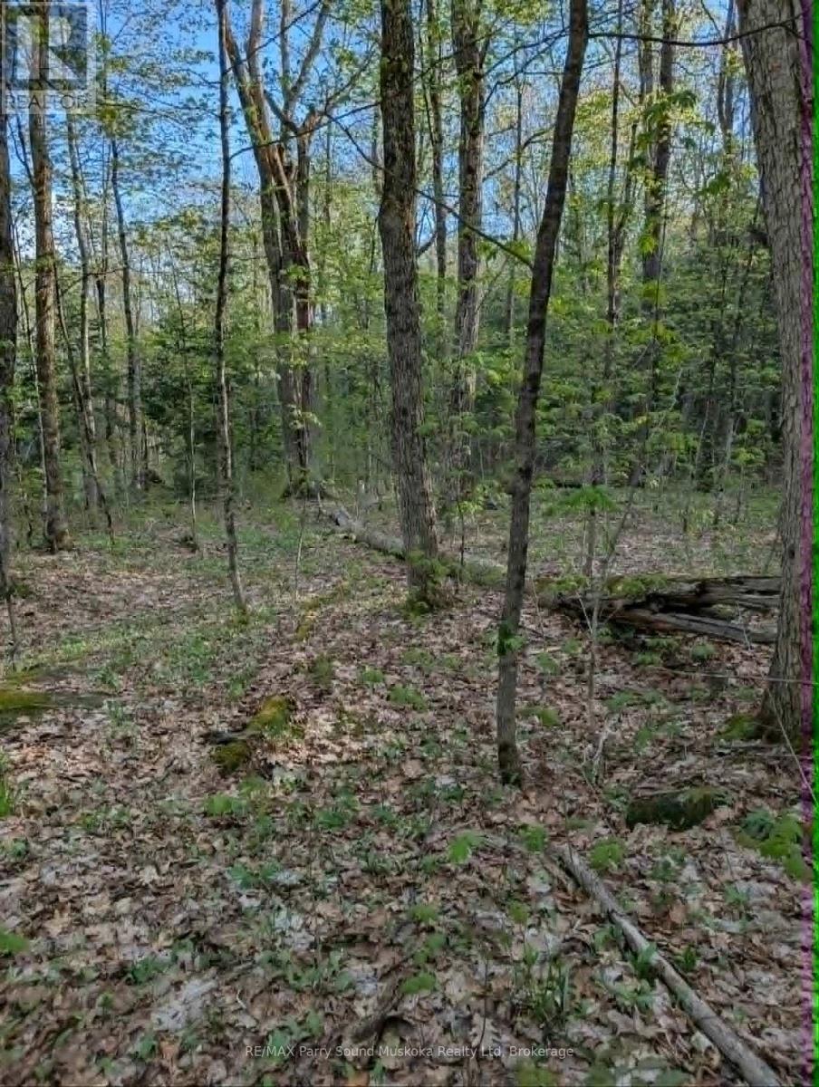0 Sugar Lake Road, Seguin, Ontario  P2A 2W9 - Photo 11 - X13160102