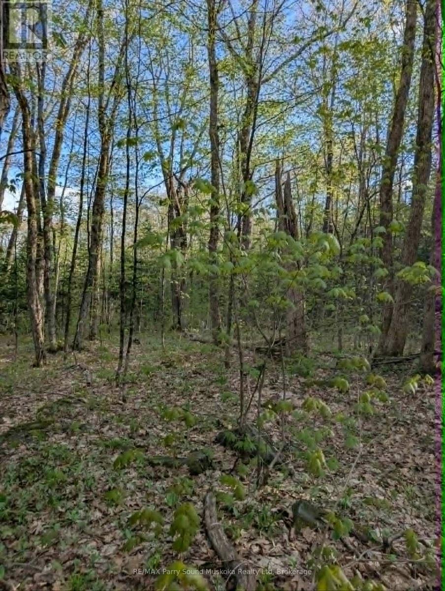 0 Sugar Lake Road, Seguin, Ontario  P2A 2W9 - Photo 12 - X13160102