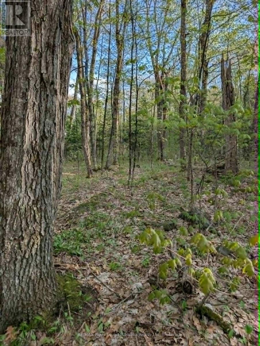 0 Sugar Lake Road, Seguin, Ontario  P2A 2W9 - Photo 13 - X13160102