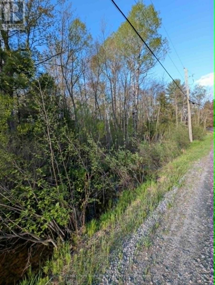 0 Sugar Lake Road, Seguin, Ontario  P2A 2W9 - Photo 16 - X13160102