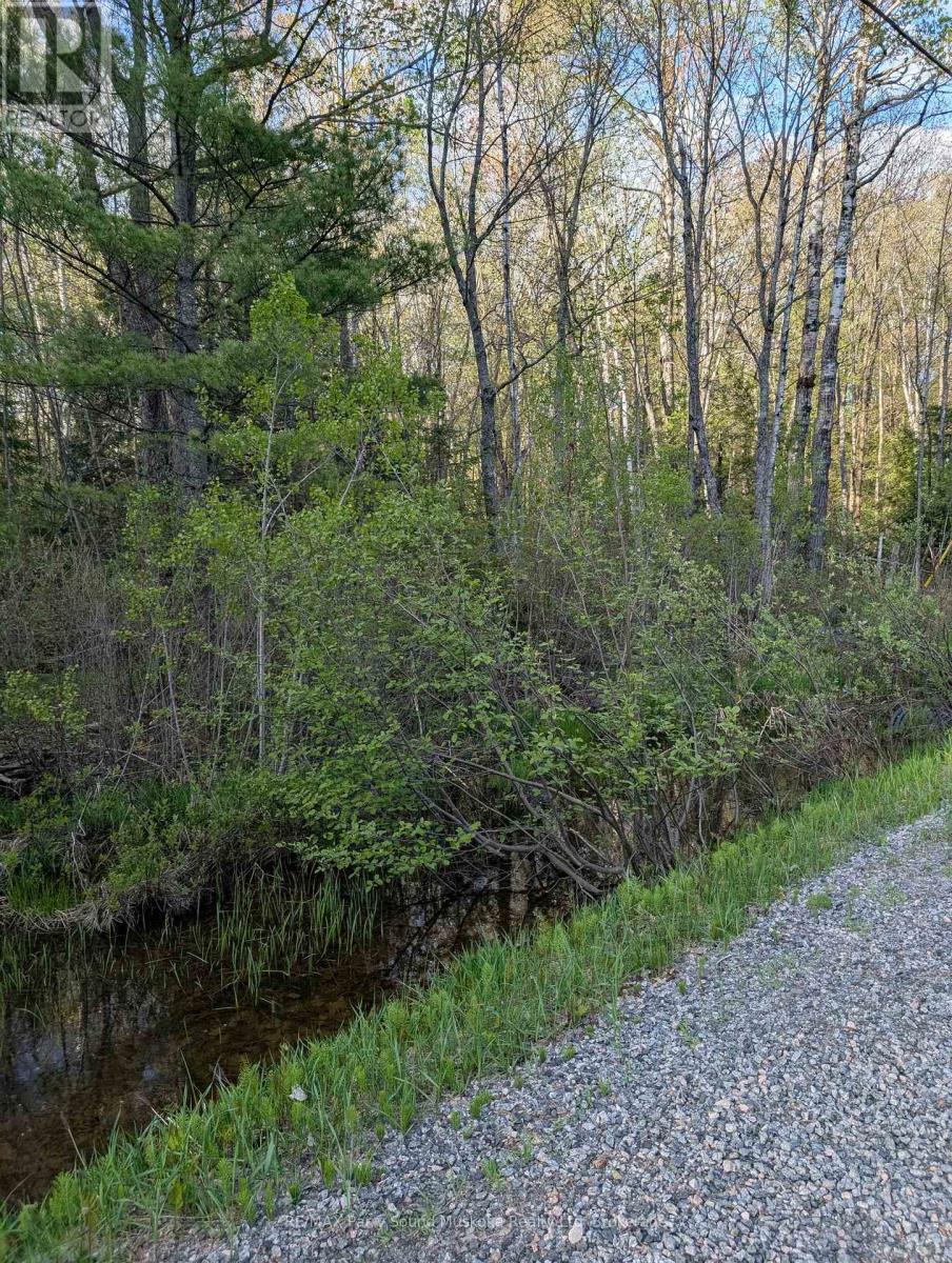 0 Sugar Lake Road, Seguin, Ontario  P2A 2W9 - Photo 19 - X13160102
