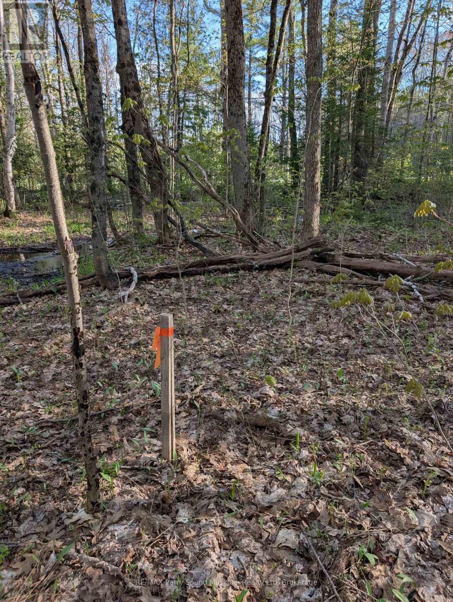 0 Sugar Lake Road, Seguin, Ontario  P2A 2W9 - Photo 2 - X13160102