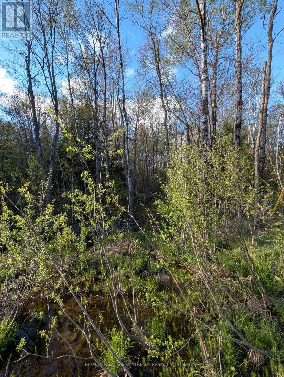 0 Sugar Lake Road, Seguin, Ontario  P2A 2W9 - Photo 20 - X13160102