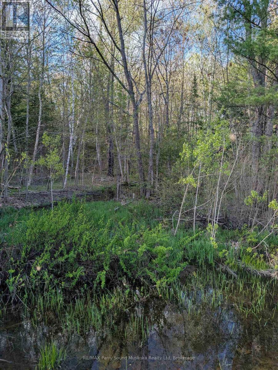 0 Sugar Lake Road, Seguin, Ontario  P2A 2W9 - Photo 21 - X13160102