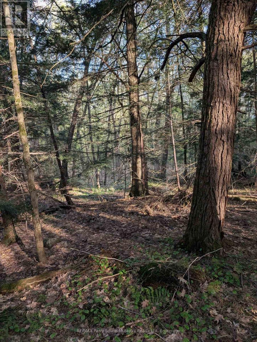 0 Sugar Lake Road, Seguin, Ontario  P2A 2W9 - Photo 3 - X13160102